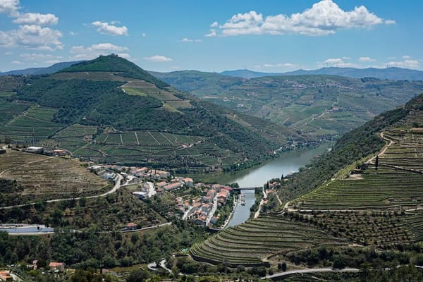 Solo to Porto: The Portuguese City That Ruined Lisbon for Me